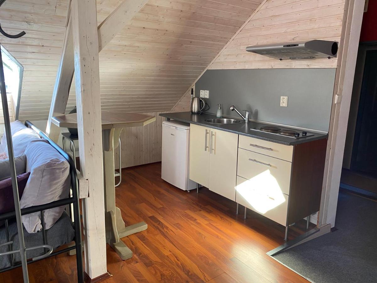 Apartmany Rudik Железна Руда Екстер'єр фото